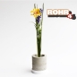 Preview: Rohr 4 Concrete Cylinder