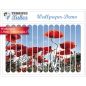 Preview: terrific-tubes wallpaper poppies sky