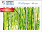 Preview: Wallpaper Spring Bamboo