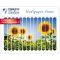 Preview: Wallpaper Sun-Flowers