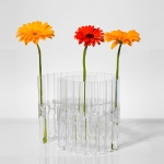 Vase-Set `Olga` (32 Glass Tubes & 64 Clips)